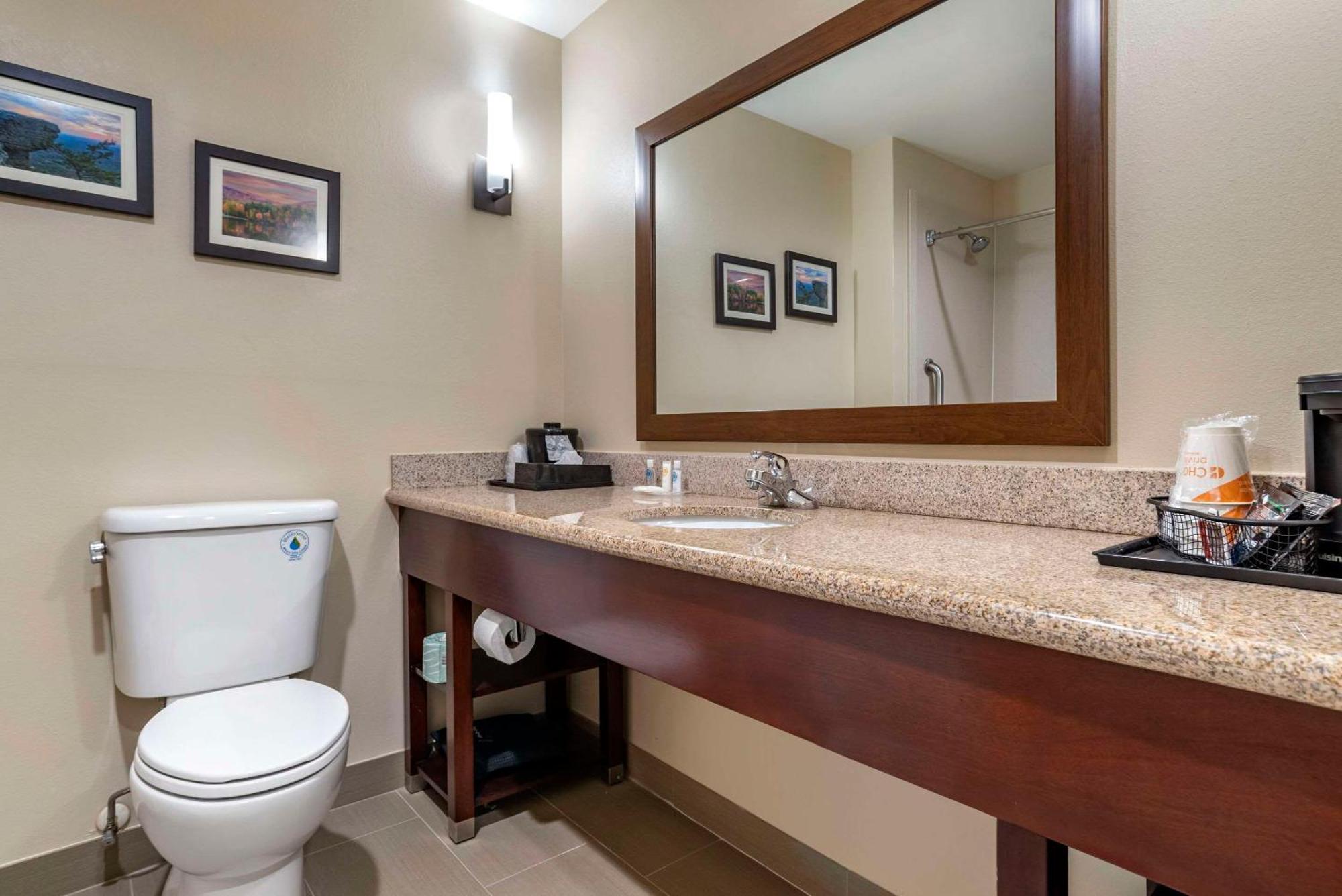 Comfort Suites Pell City I-20 Exit 158 Bagian luar foto