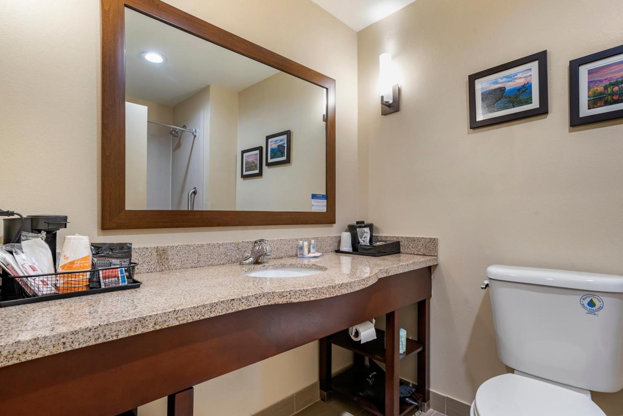 Comfort Suites Pell City I-20 Exit 158 Bagian luar foto