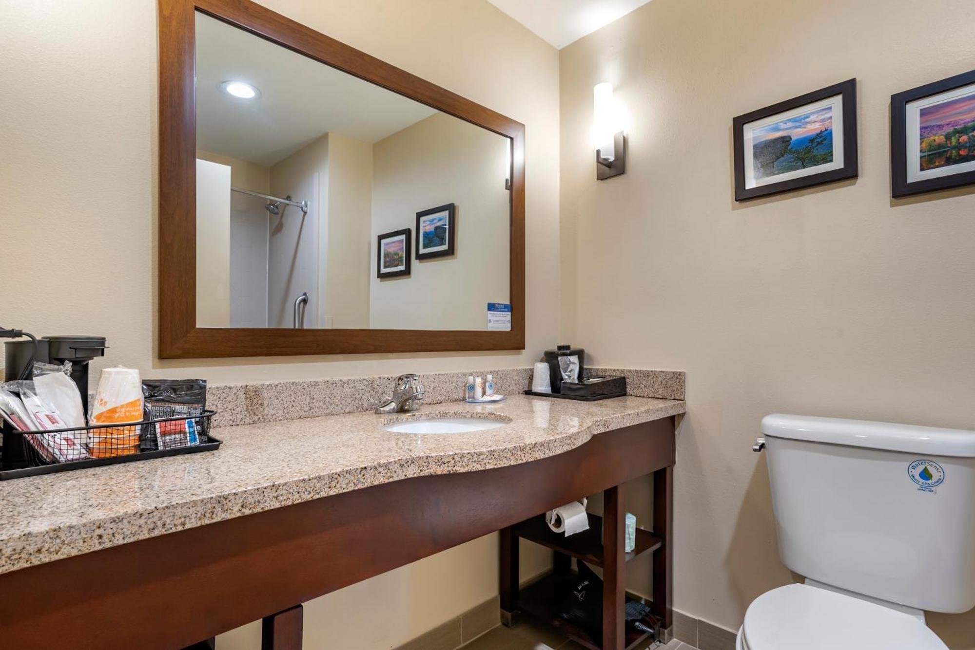 Comfort Suites Pell City I-20 Exit 158 Bagian luar foto